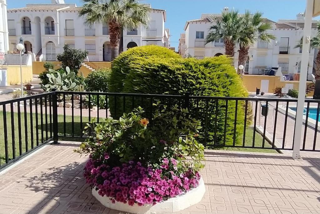 Villamartin Golf Lovers Home San Miguel De Salinas Esterno foto